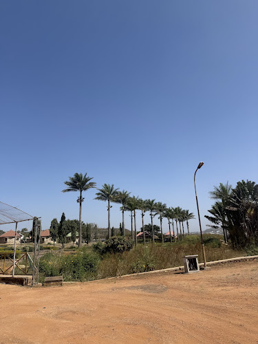Solomon Lar Amusement Park