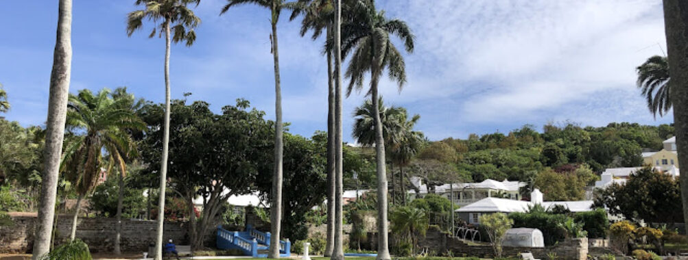 Somers Garden Travel Forum Reviews