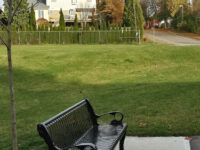Somerset Park Travel Forum Reviews