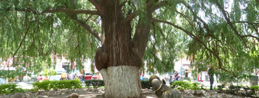 Son of the Sad Night Tree Travel Forum Reviews