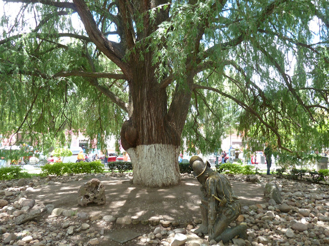 Son of the Sad Night Tree