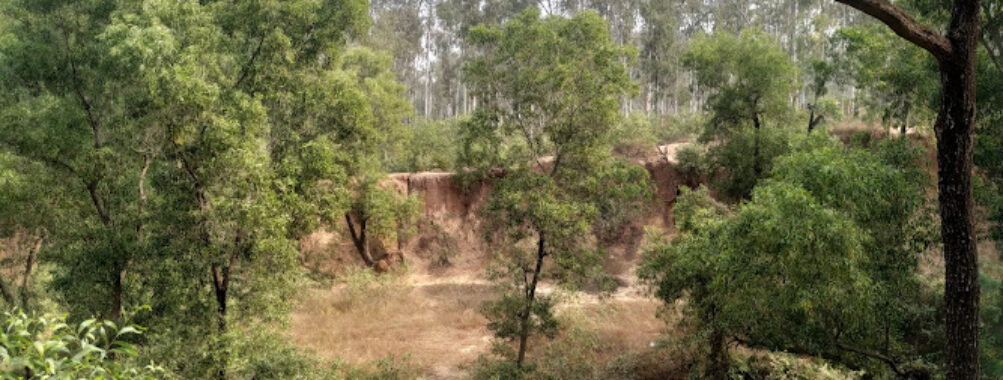 Sonajhuri Forest Travel Forum Reviews