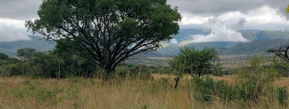 Songimvelo Nature Reserve Travel Forum Reviews