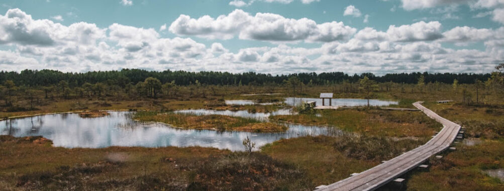 Soomaa National Park Travel Forum Reviews