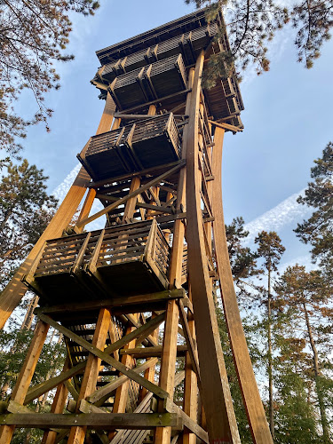 Sörházdombi-kilátó