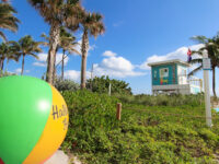 South City Beach Park Travel Forum Reviews