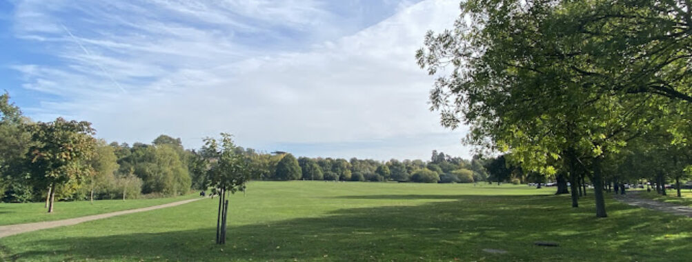 South Hill Park Travel Forum Reviews