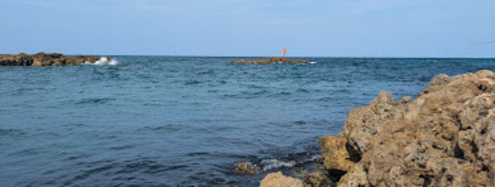 South Inlet Park Travel Forum Reviews