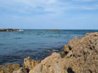 South Inlet Park Travel Forum Reviews