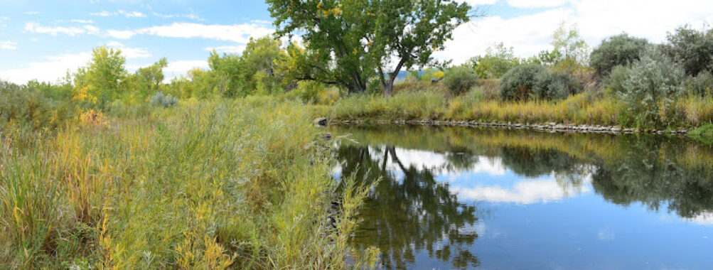 South Platte Park and Carson Nature Center Travel Forum Reviews