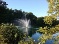 South Valley Park Travel Forum Reviews