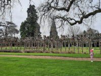 Southdown Green Travel Forum Reviews