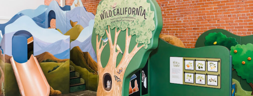 Southern California Children's Museum Travel Forum Reviews