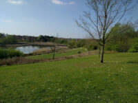 Southern Country Park Travel Forum Reviews