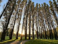 Southern Park Travel Forum Reviews