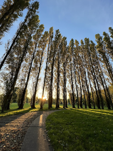 Southern Park