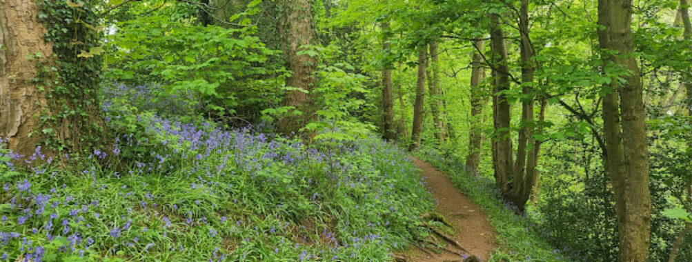 Spennells Valley Nature Reserve Travel Forum Reviews