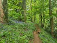 Spennells Valley Nature Reserve Travel Forum Reviews