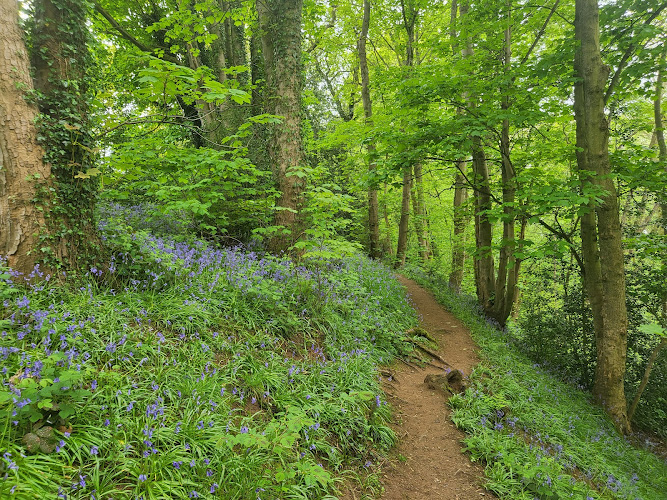 Spennells Valley Nature Reserve