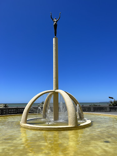 Spirit of Napier