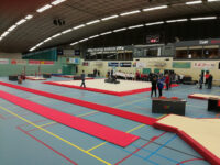 Sporthal Beverwijk (Whale) Travel Forum Reviews
