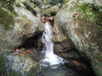 Spring Of Manas Travel Forum Reviews