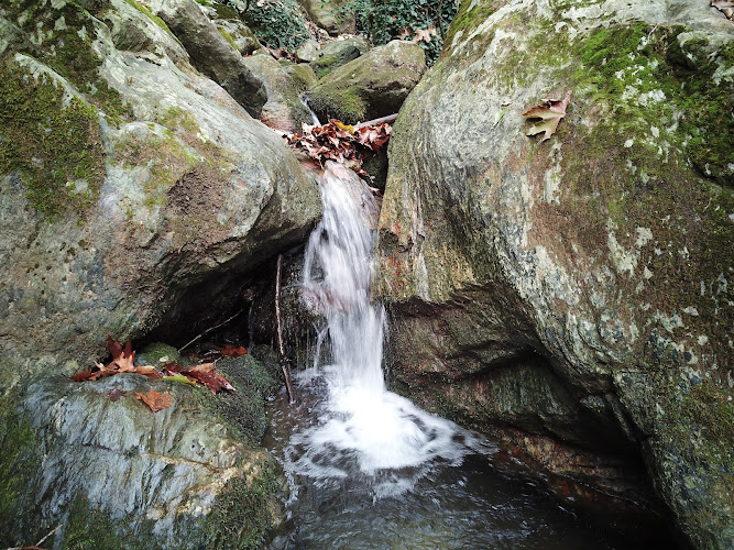Spring Of Manas