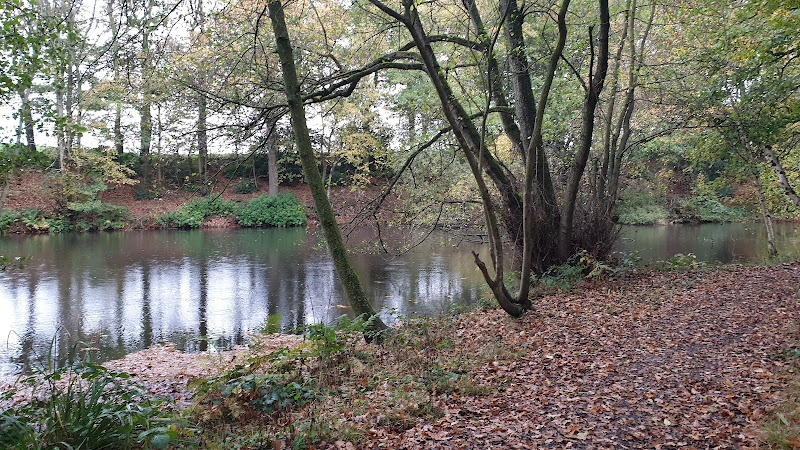 Springpool Wood