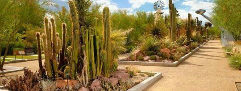 Springs Preserve Travel Forum Reviews