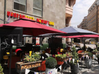 Square One Travel Forum Reviews