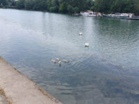 Square des Rupins Travel Forum Reviews