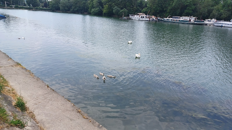 Square des Rupins