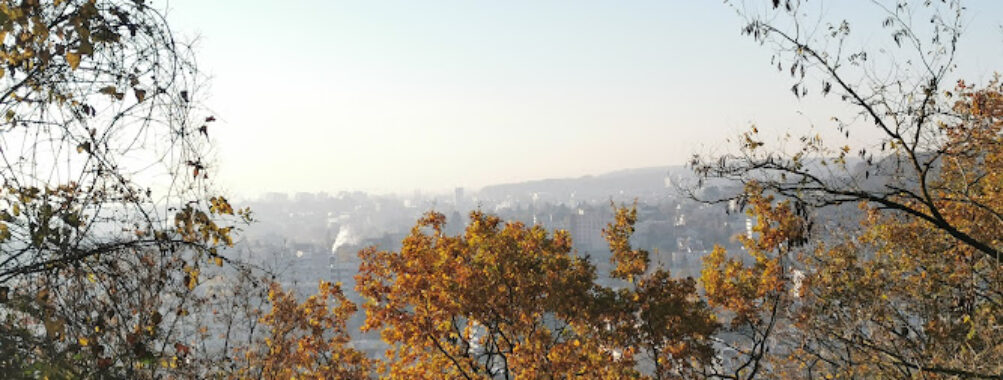 Square du Panorama Travel Forum Reviews