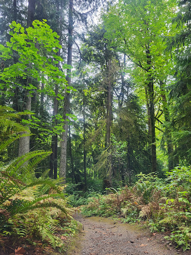 Squaxin Park (Priest Point)