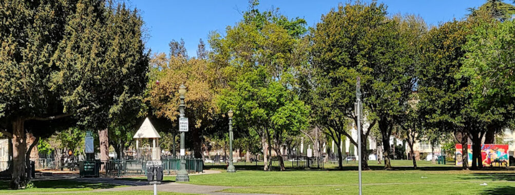 St James Park Travel Forum Reviews