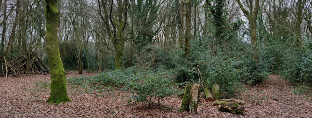 St. John's Wood Travel Forum Reviews
