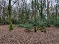 St. John's Wood Travel Forum Reviews