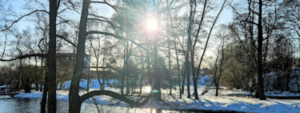 ”Staden Vid Havet” Travel Forum Reviews