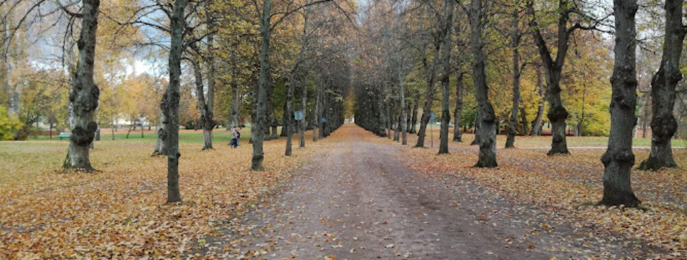 Stadsträdgården Travel Forum Reviews