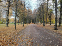 Stadsträdgården Travel Forum Reviews