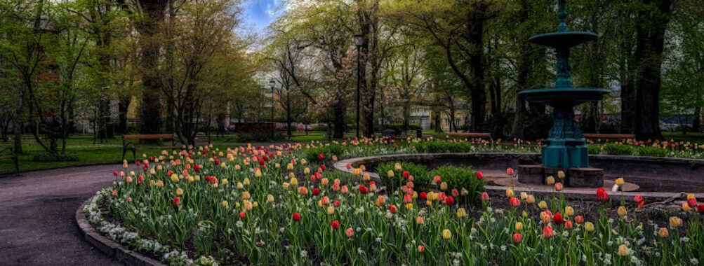 Stadsträdgården Travel Forum Reviews