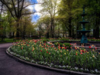 Stadsträdgården Travel Forum Reviews
