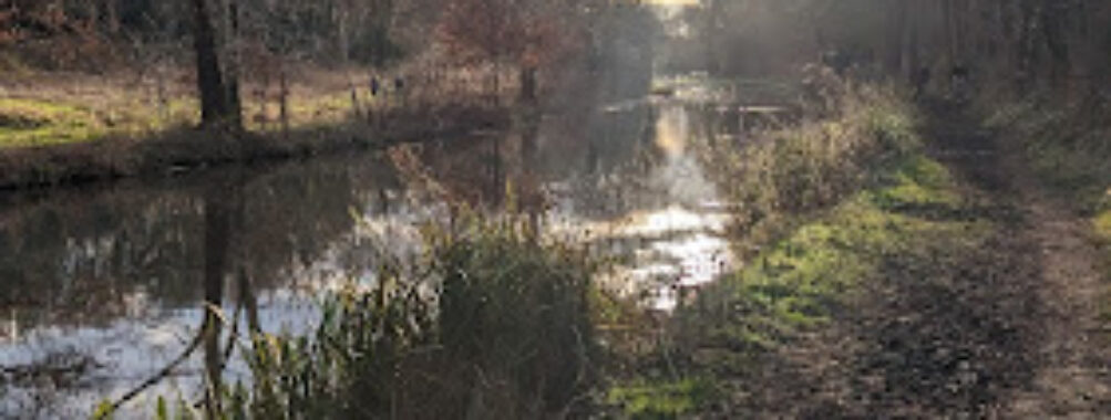 Staffordshire & Worcestershire Canal Travel Forum Reviews