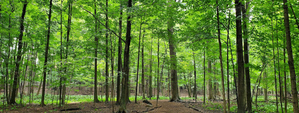 Stage Nature Center Travel Forum Reviews