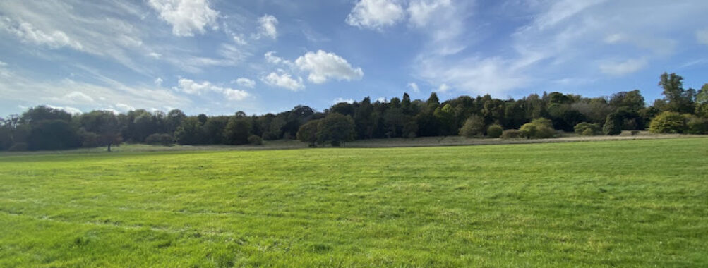 Stanmer Park Nature Reserve Travel Forum Reviews