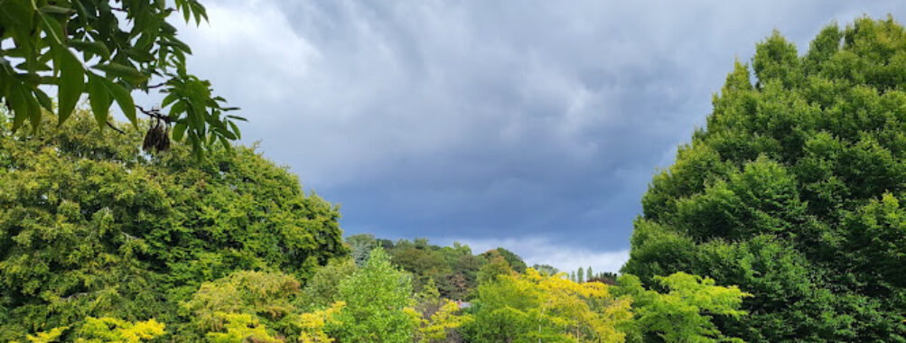 Stapenhill Woodland Walk & Riverside Walk Travel Forum Reviews