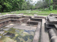 Star Gate - Ranmasu Uyana Travel Forum Reviews