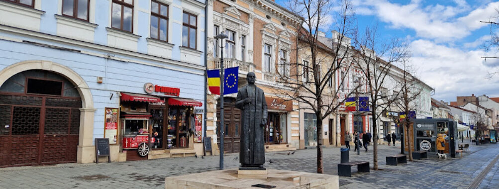 Statuia Cardinal Iuliu Hossu Travel Forum Reviews