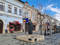 Statuia Cardinal Iuliu Hossu Travel Forum Reviews
