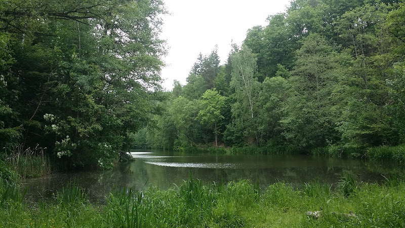 Staw Poleśnicki